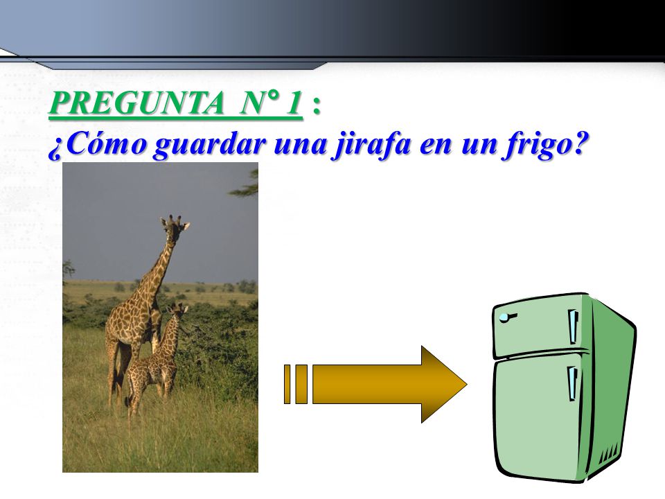 PREGUNTA N° 1 : ¿Cómo guardar una jirafa en un frigo