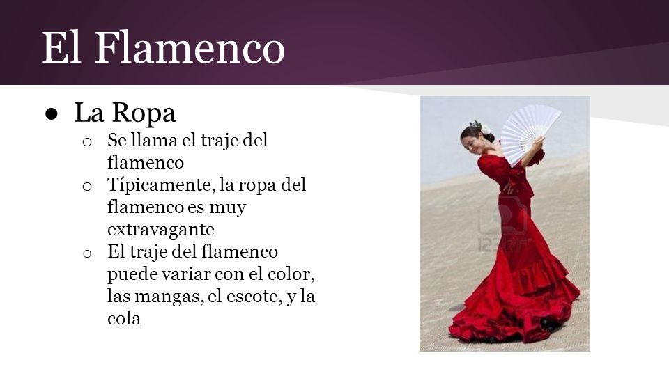 El Flamenco La Ropa Se llama el traje del flamenco