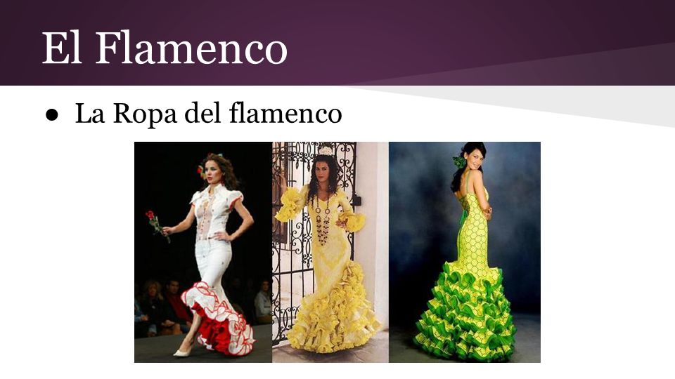 El Flamenco La Ropa del flamenco