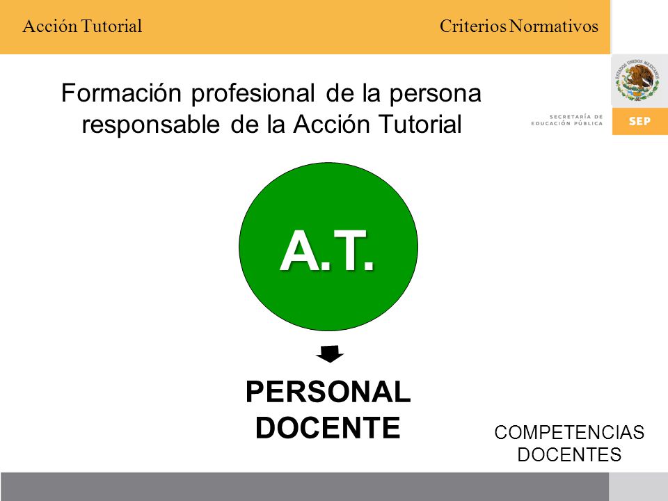 Acción Tutorial Criterios Normativos. Formación profesional de la persona responsable de la Acción Tutorial.