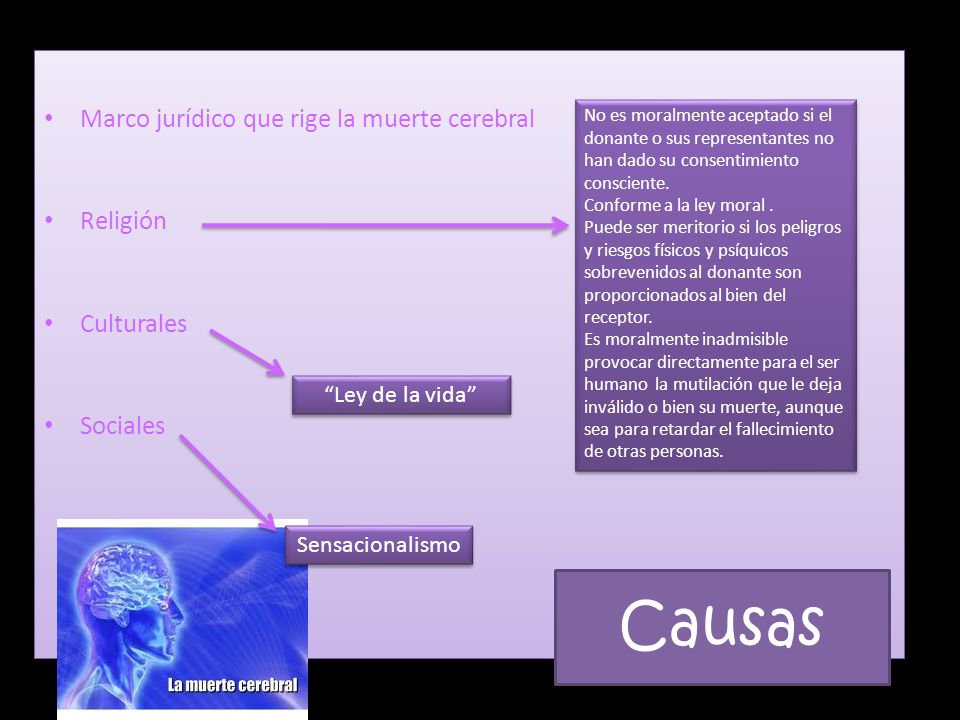 Causas Marco jurídico que rige la muerte cerebral Religión Culturales