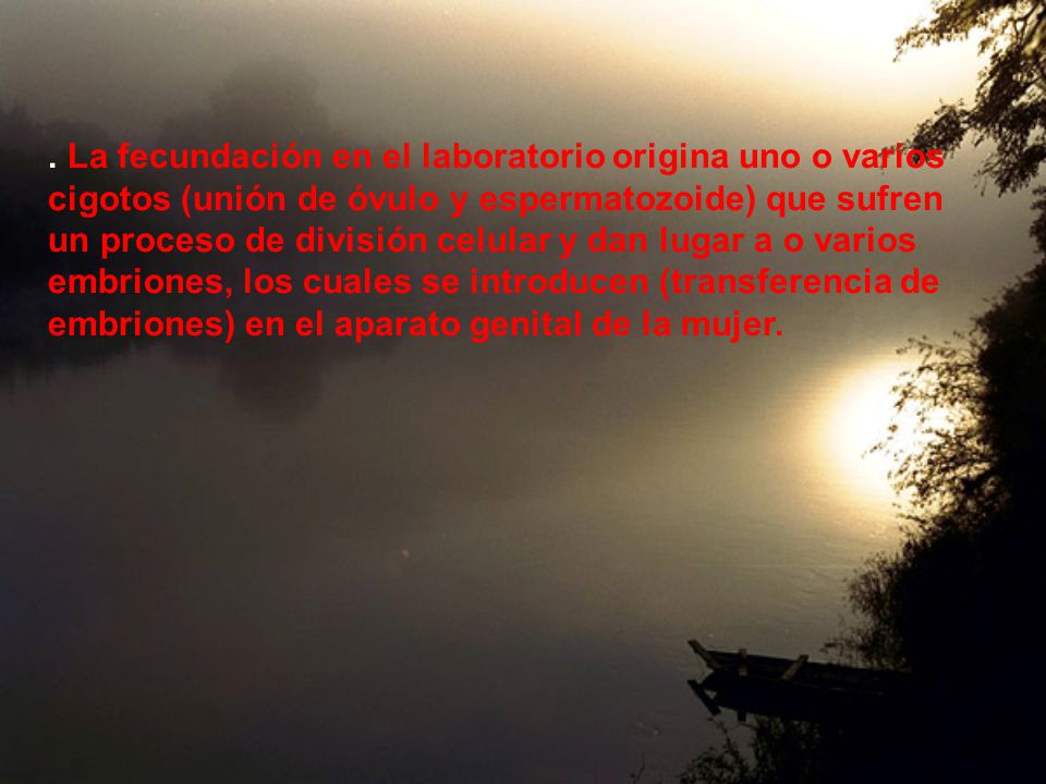 . La fecundación en el laboratorio origina uno o varios cigotos (unión de óvulo y espermatozoide) que sufren un proceso de división celular y dan lugar a o varios embriones, los cuales se introducen (transferencia de embriones) en el aparato genital de la mujer.