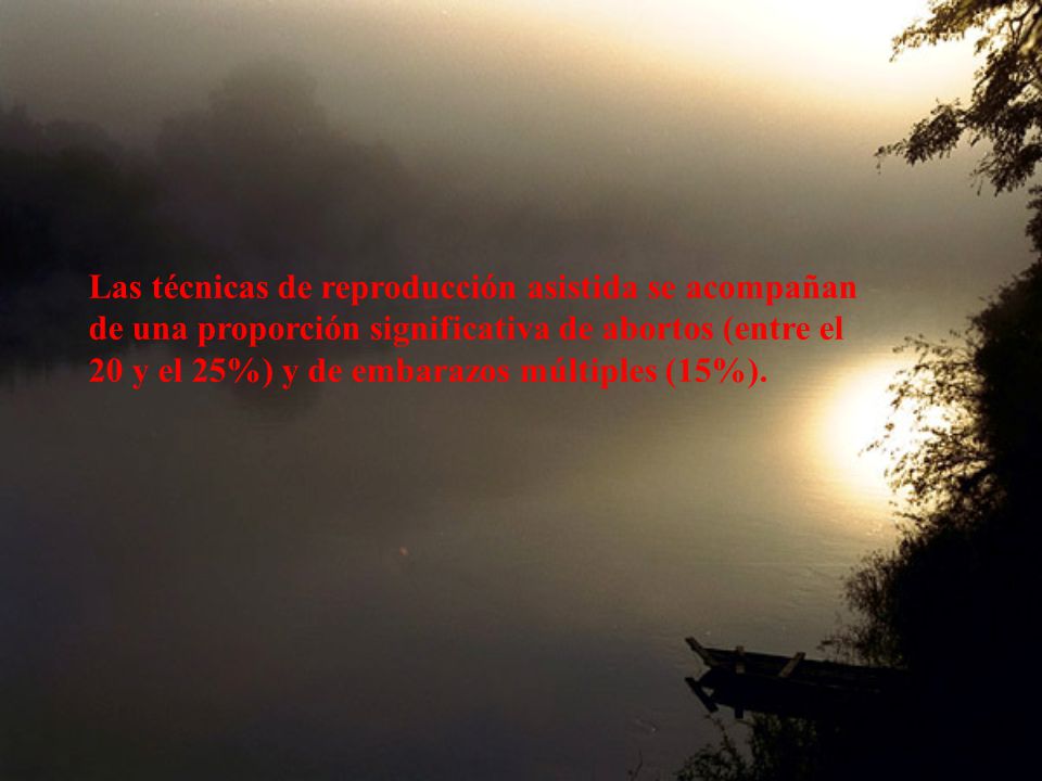 Las técnicas de reproducción asistida se acompañan de una proporción significativa de abortos (entre el 20 y el 25%) y de embarazos múltiples (15%).