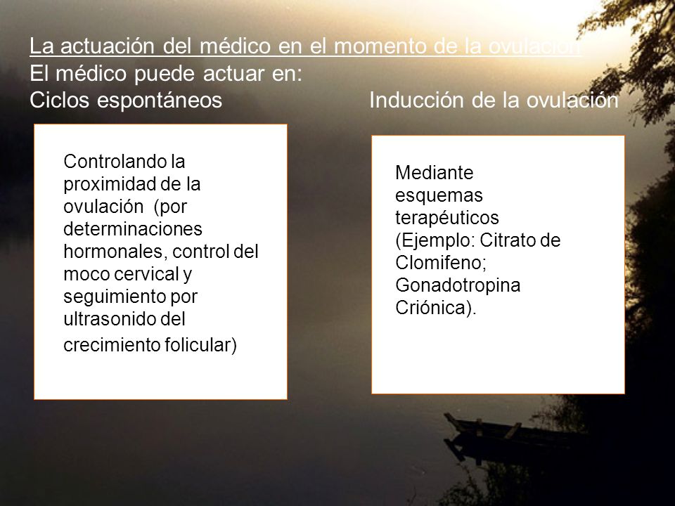 La actuación del médico en el momento de la ovulación