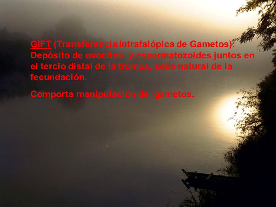 GIFT (Transferencia Intrafalópica de Gametos): Depósito de ovocitos y espermatozoides juntos en el tercio distal de la trompa, sede natural de la fecundación.