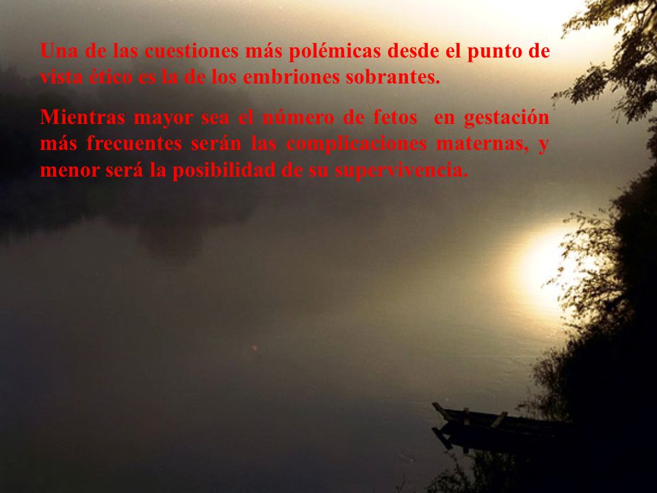 Una de las cuestiones más polémicas desde el punto de vista ético es la de los embriones sobrantes.