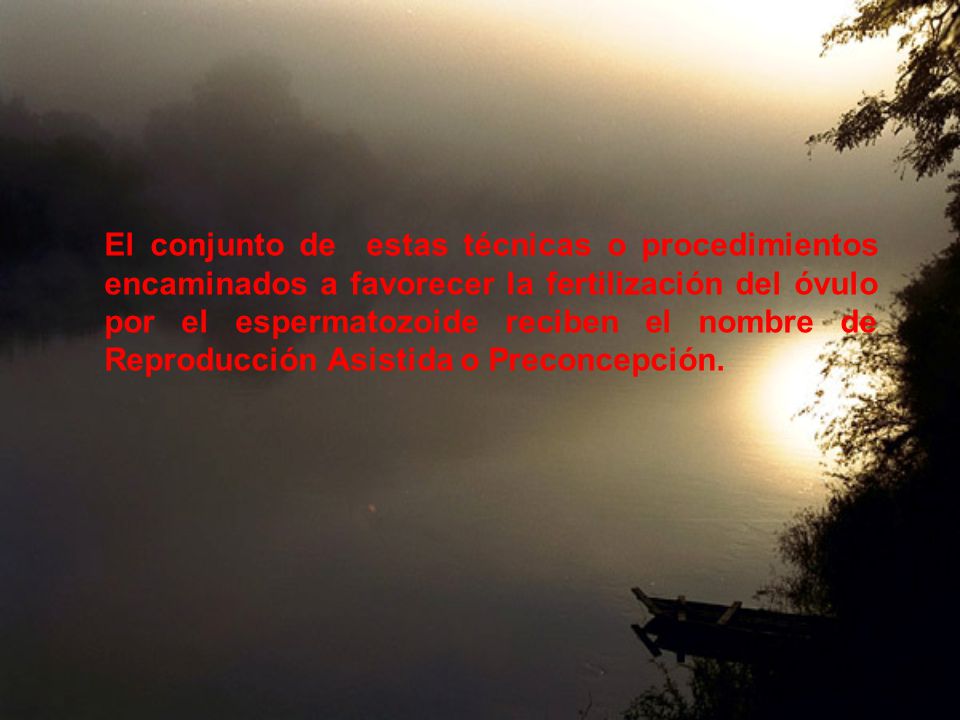 El conjunto de estas técnicas o procedimientos encaminados a favorecer la fertilización del óvulo por el espermatozoide reciben el nombre de Reproducción Asistida o Preconcepción.