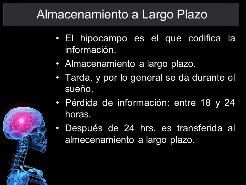 Almacenamiento a Largo Plazo