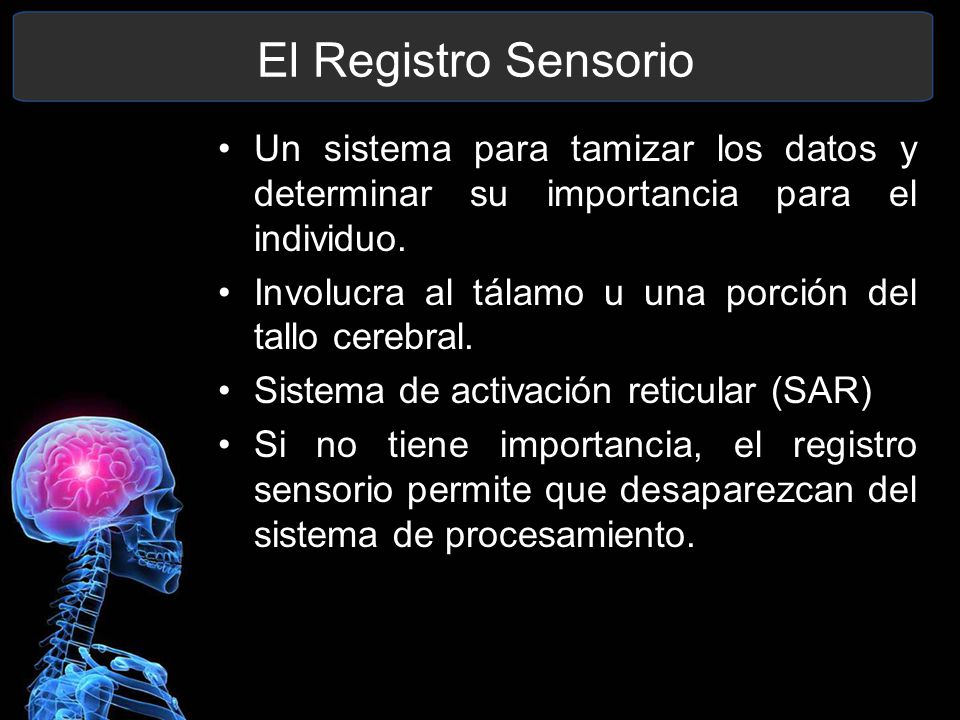 El Registro Sensorio Un sistema para tamizar los datos y determinar su importancia para el individuo.