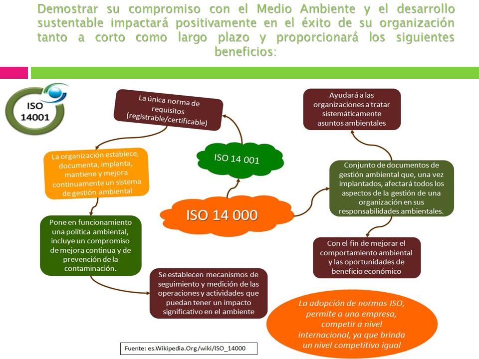 Demostrar su compromiso con el Medio Ambiente y el desarrollo sustentable impactará positivamente en el éxito de su organización tanto a corto como largo plazo y proporcionará los siguientes beneficios: