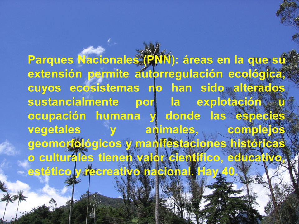 Parques Nacionales (PNN): áreas en la que su extensión permite autorregulación ecológica, cuyos ecosistemas no han sido alterados sustancialmente por la explotación u ocupación humana y donde las especies vegetales y animales, complejos geomorfológicos y manifestaciones históricas o culturales tienen valor científico, educativo, estético y recreativo nacional.