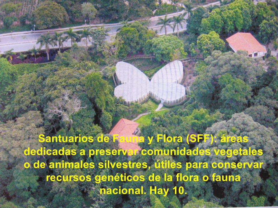 Santuarios de Fauna y Flora (SFF): áreas dedicadas a preservar comunidades vegetales o de animales silvestres, útiles para conservar recursos genéticos de la flora o fauna nacional.