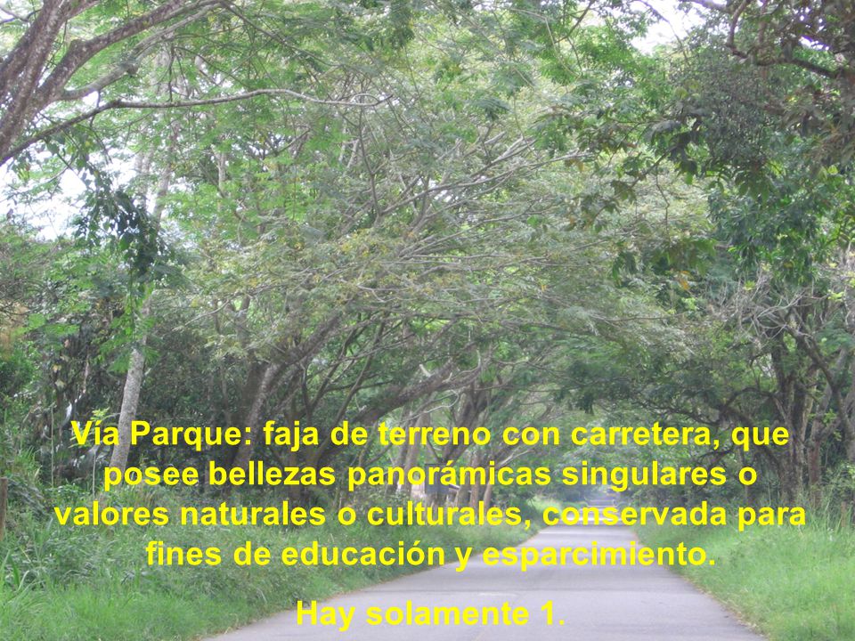 Vía Parque: faja de terreno con carretera, que posee bellezas panorámicas singulares o valores naturales o culturales, conservada para fines de educación y esparcimiento.
