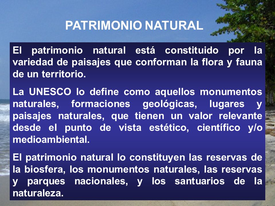 PATRIMONIO NATURAL El patrimonio natural está constituido por la variedad de paisajes que conforman la flora y fauna de un territorio.