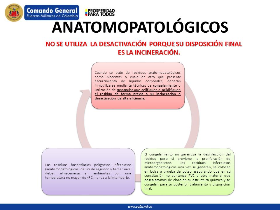 ANATOMOPATOLÓGICOS NO SE UTILIZA LA DESACTIVACIÓN PORQUE SU DISPOSICIÓN FINAL ES LA INCINERACIÓN.