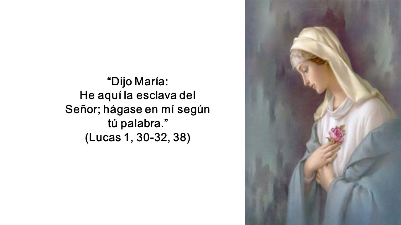 He aquí la esclava del Señor; hágase en mí según tú palabra.