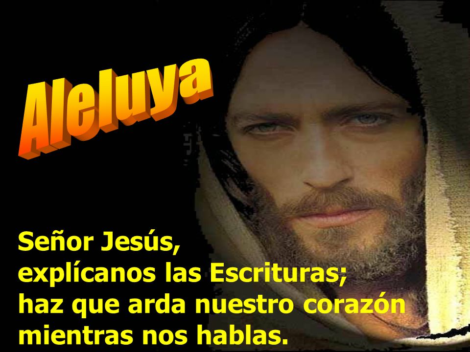Aleluya Señor Jesús, explícanos las Escrituras; haz que arda nuestro corazón mientras nos hablas.
