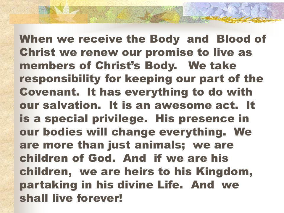 When we receive the Body and Blood of Christ we renew our promise to live as members of Christ’s Body.