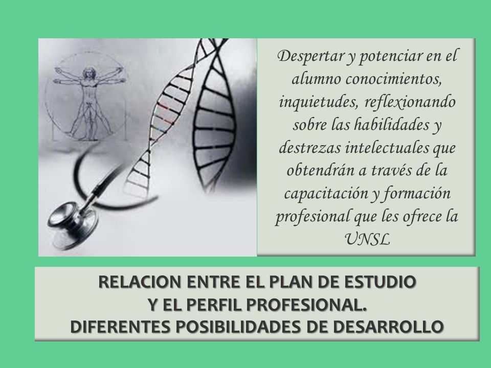 RELACION ENTRE EL PLAN DE ESTUDIO Y EL PERFIL PROFESIONAL.