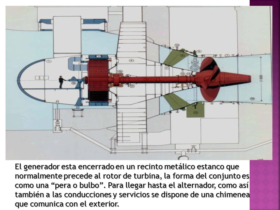 El generador esta encerrado en un recinto metálico estanco que normalmente precede al rotor de turbina, la forma del conjunto es como una pera o bulbo .