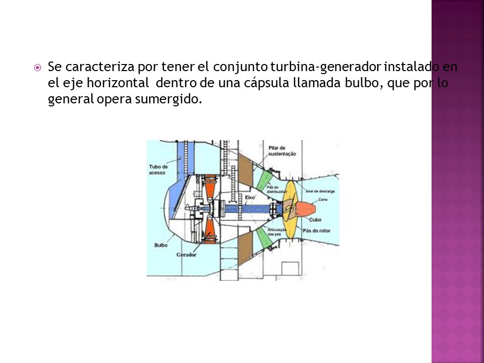 Se caracteriza por tener el conjunto turbina-generador instalado en el eje horizontal dentro de una cápsula llamada bulbo, que por lo general opera sumergido.