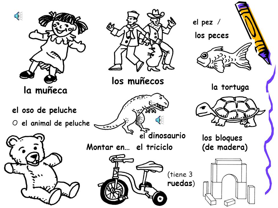 los muñecos la muñeca la tortuga el oso de peluche