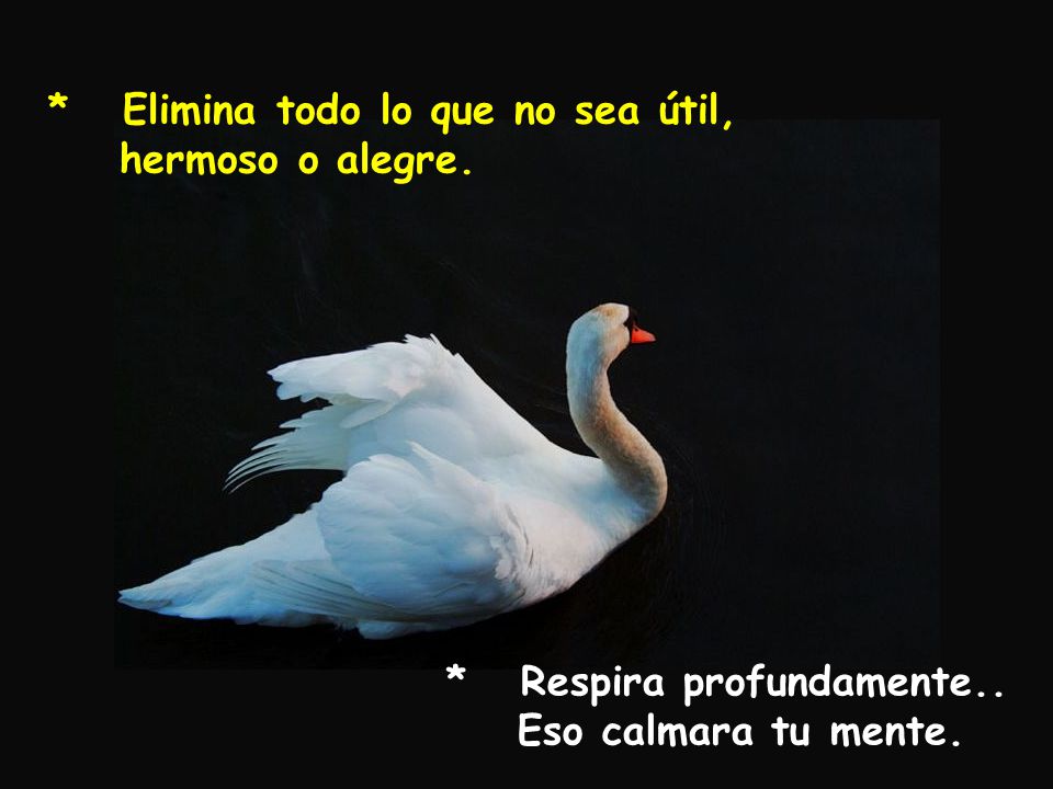 * Elimina todo lo que no sea útil, hermoso o alegre.