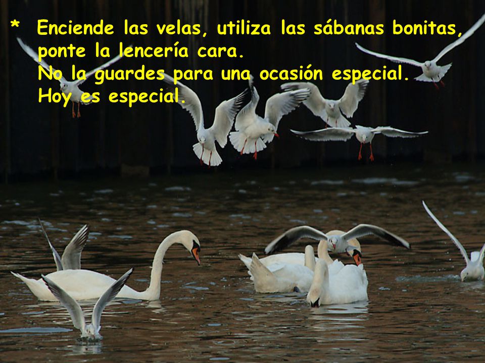 * Enciende las velas, utiliza las sábanas bonitas, ponte la lencería cara.
