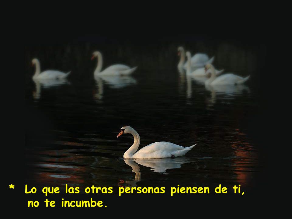 * Lo que las otras personas piensen de ti, no te incumbe.