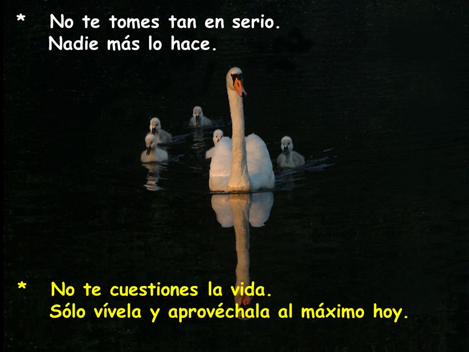 * No te tomes tan en serio. Nadie más lo hace.