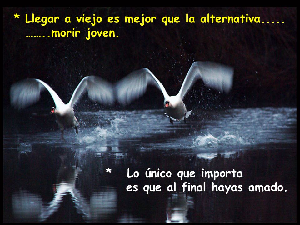 * Lo único que importa es que al final hayas amado.