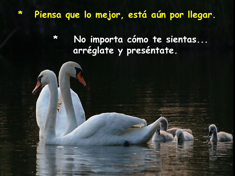 * Piensa que lo mejor, está aún por llegar.