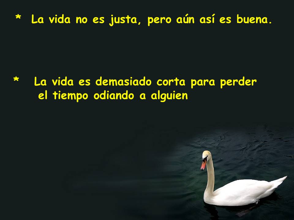 * La vida no es justa, pero aún así es buena.