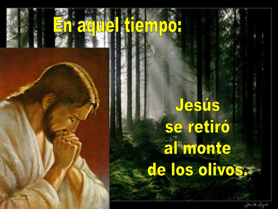 En aquel tiempo: Jesús se retiró al monte de los olivos.