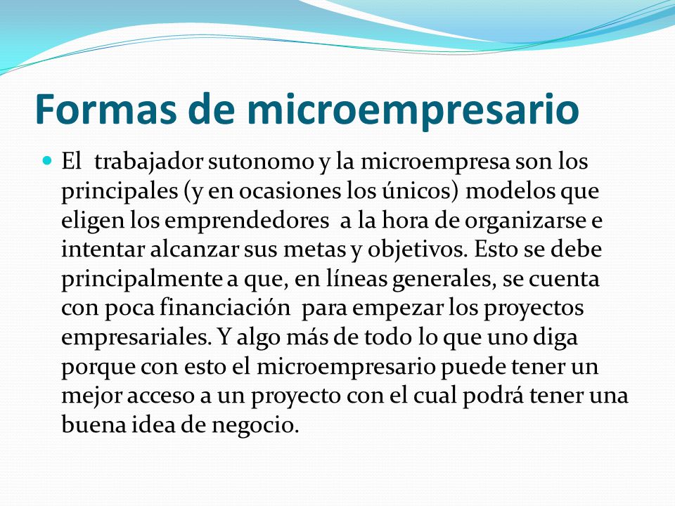 Formas de microempresario