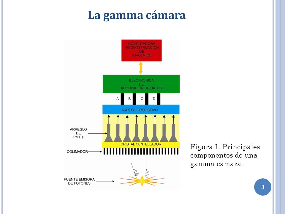 La gamma cámara Figura 1. Principales componentes de una gamma cámara.