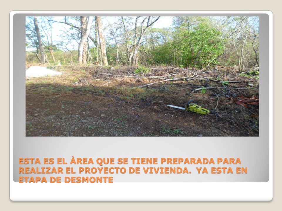 ESTA ES EL ÀREA QUE SE TIENE PREPARADA PARA REALIZAR EL PROYECTO DE VIVIENDA.