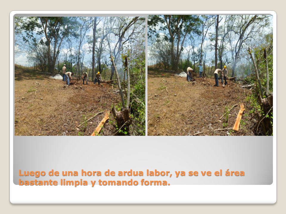 Luego de una hora de ardua labor, ya se ve el área bastante limpia y tomando forma.