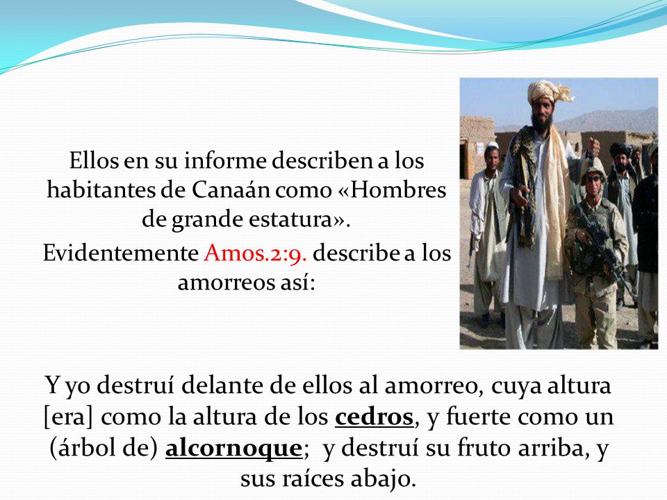 Ellos en su informe describen a los habitantes de Canaán como «Hombres de grande estatura». Evidentemente Amos.2:9. describe a los amorreos así: