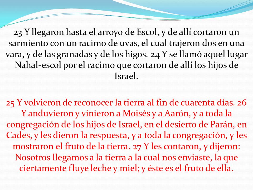 23 Y llegaron hasta el arroyo de Escol, y de allí cortaron un sarmiento con un racimo de uvas, el cual trajeron dos en una vara, y de las granadas y de los higos. 24 Y se llamó aquel lugar Nahal-escol por el racimo que cortaron de allí los hijos de Israel.