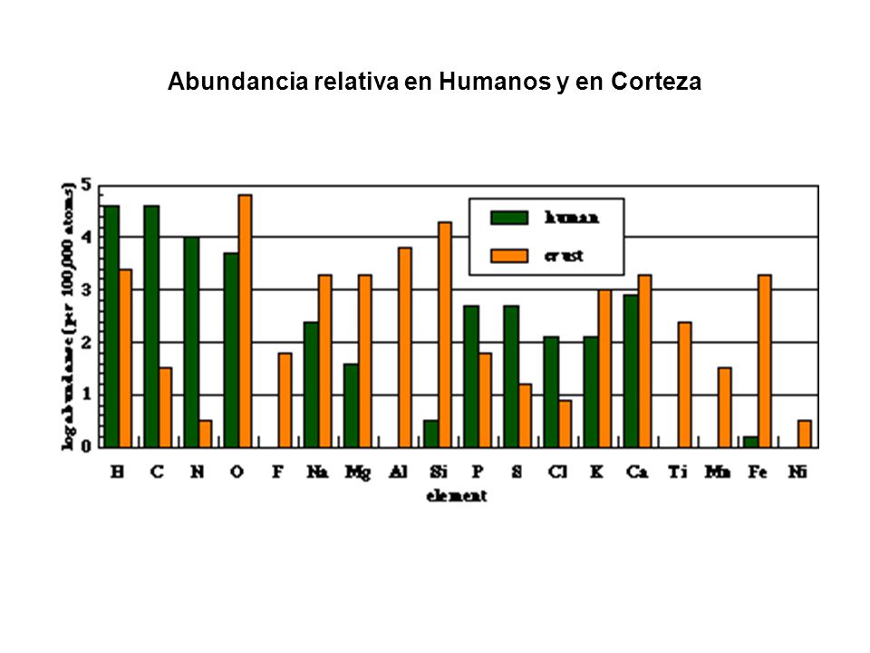Abundancia relativa en Humanos y en Corteza