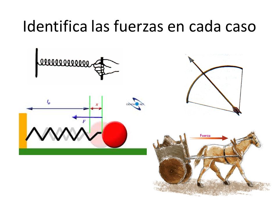 Identifica las fuerzas en cada caso