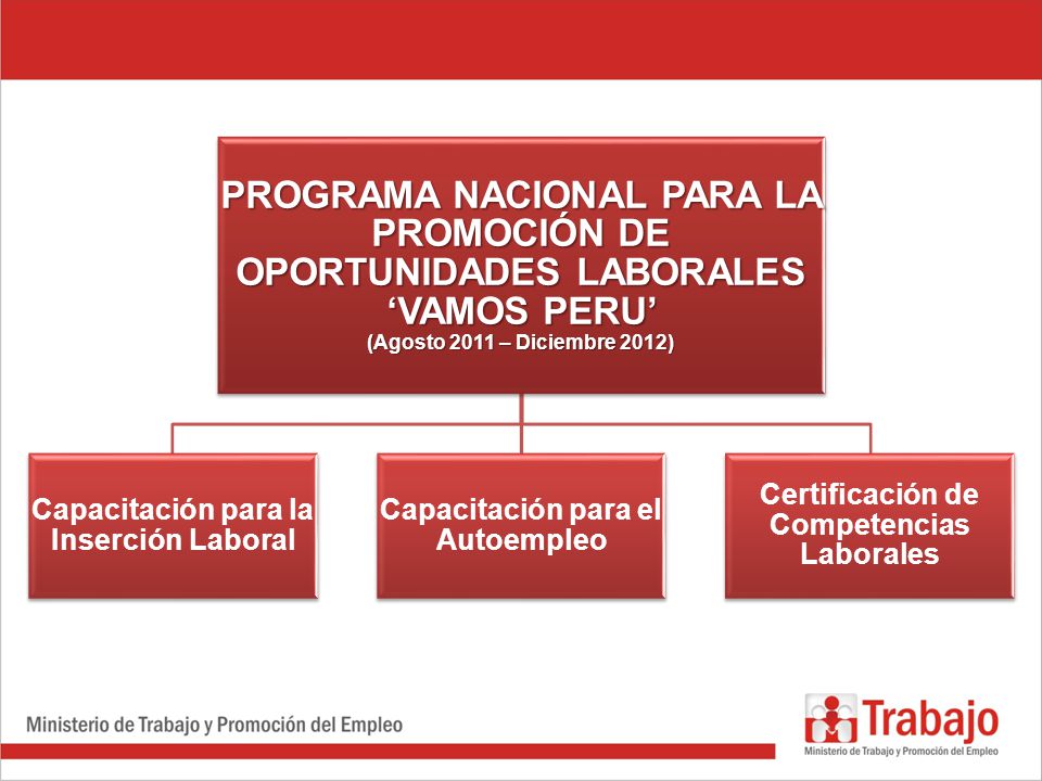 PROGRAMA NACIONAL PARA LA PROMOCIÓN DE OPORTUNIDADES LABORALES ‘VAMOS PERU’ (Agosto 2011 – Diciembre 2012)