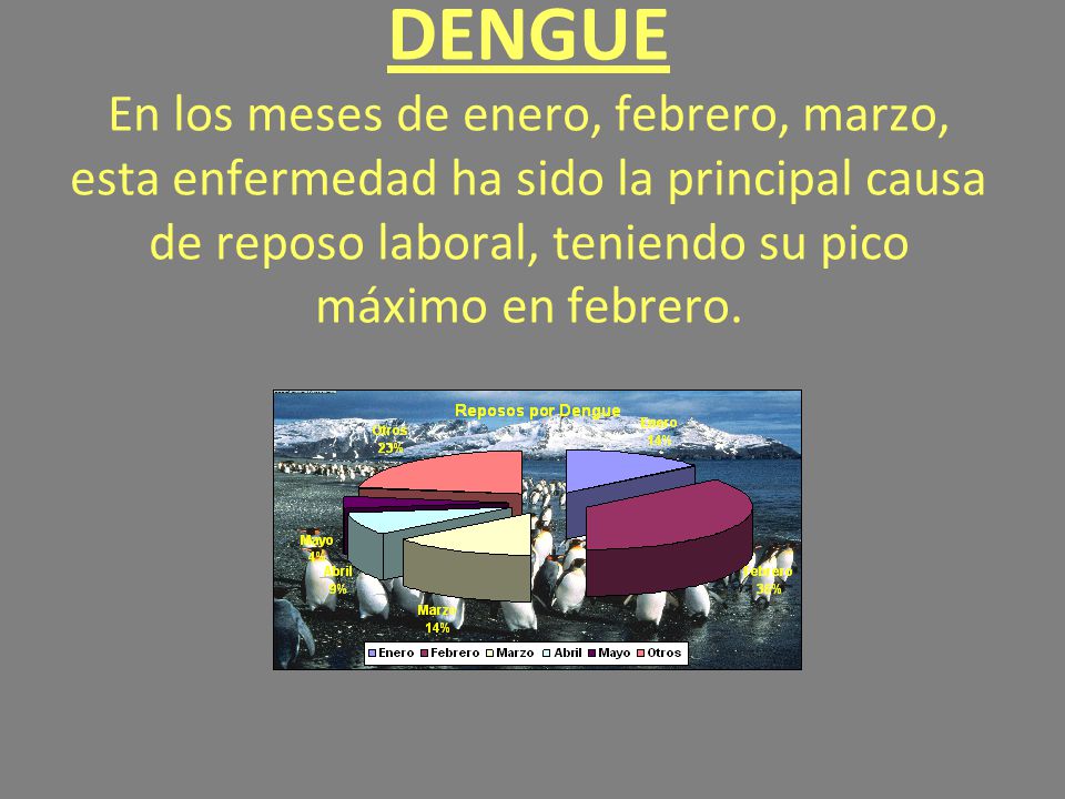 DENGUE En los meses de enero, febrero, marzo, esta enfermedad ha sido la principal causa de reposo laboral, teniendo su pico máximo en febrero.