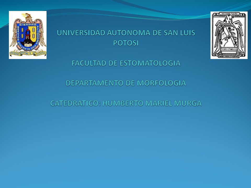 UNIVERSIDAD AUTONOMA DE SAN LUIS POTOSI FACULTAD DE ESTOMATOLOGIA DEPARTAMENTO DE MORFOLOGIA CATEDRATICO: HUMBERTO MARIEL MURGA
