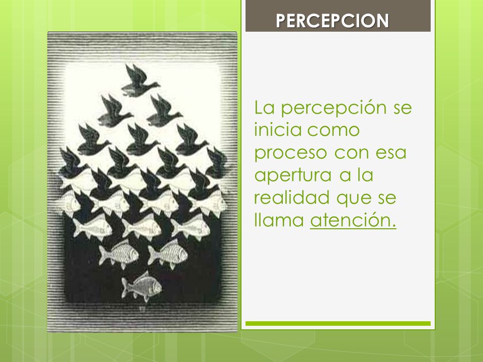 PERCEPCION La percepción se inicia como proceso con esa apertura a la realidad que se llama atención.