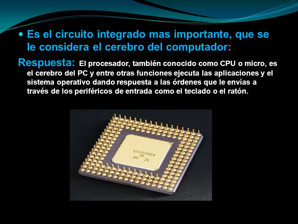 Es el circuito integrado mas importante, que se le considera el cerebro del computador: