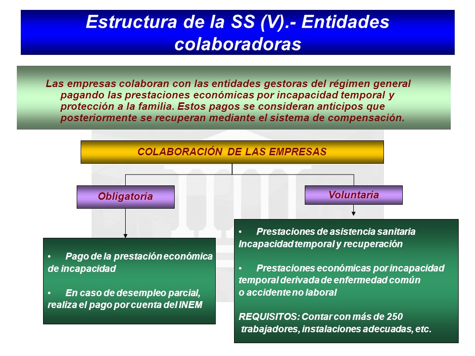 Estructura de la SS (V).- Entidades colaboradoras