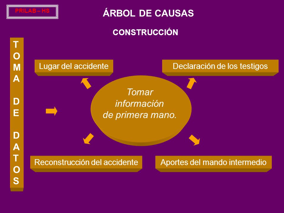 ÁRBOL DE CAUSAS TOMA DE Tomar DATOS información de primera mano.