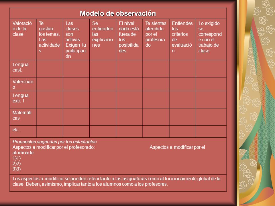 Modelo de observación Valoración de la clase